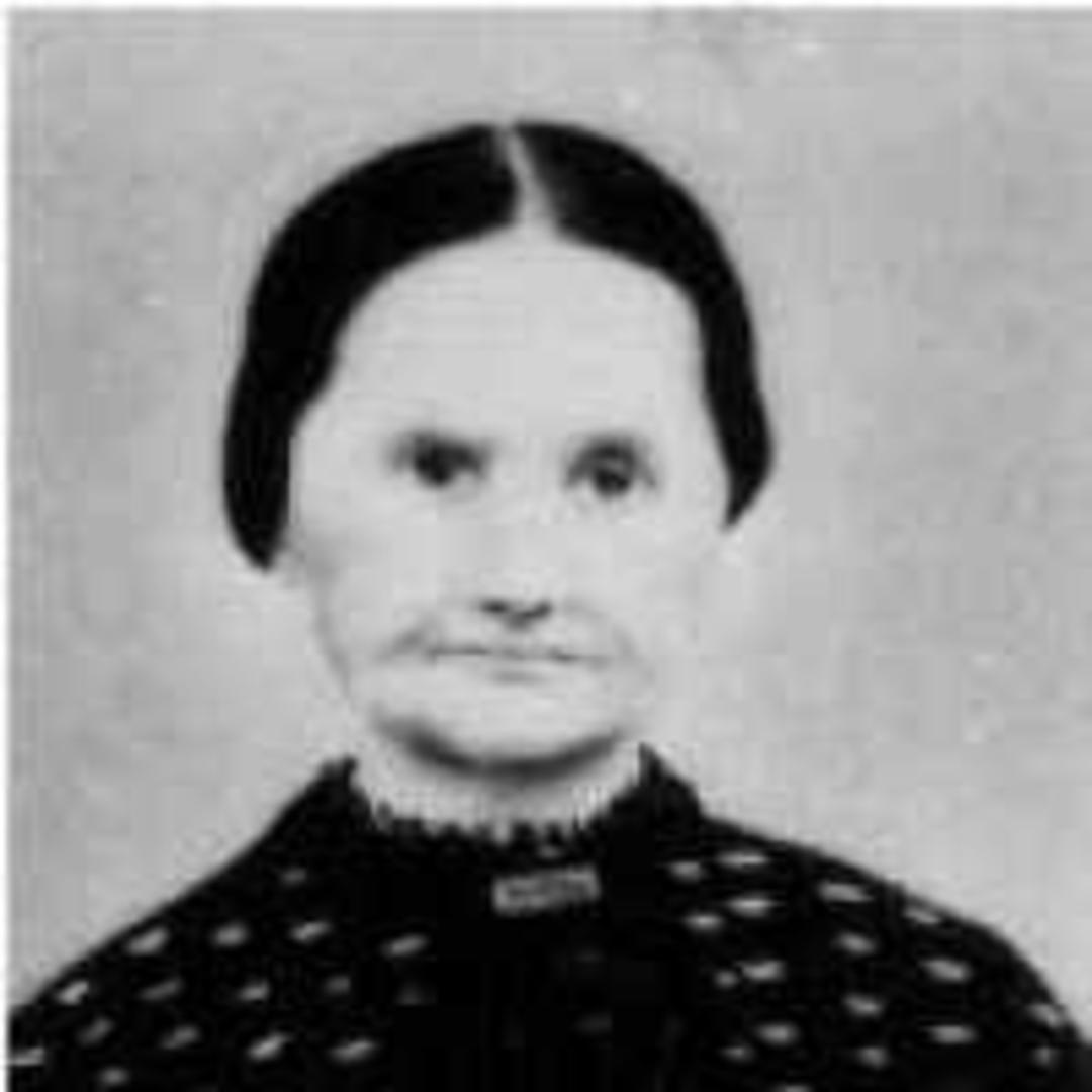 Ada Winchell (1801 - 1890) Profile